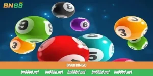 BN88 Bingo