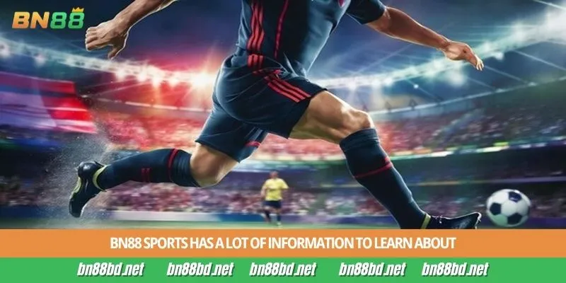 BN88 sports has a lot of information to learn about